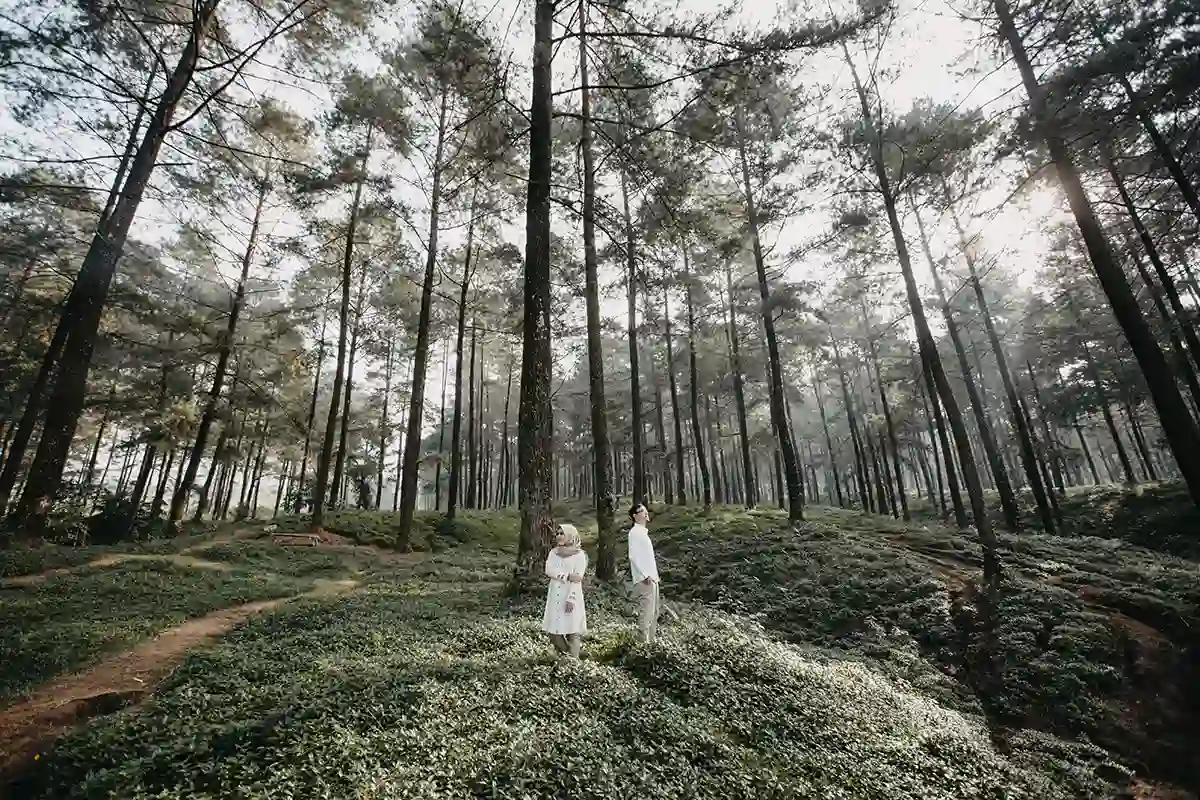 Pemotretan Prewedding di Hutan